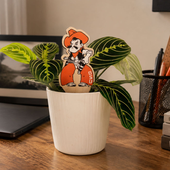 Oklahoma State Pistol Pete Color Plant Stake