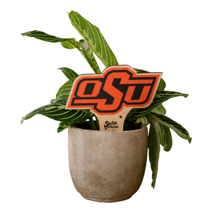 Oklahoma State OSU Color Plant Stake
