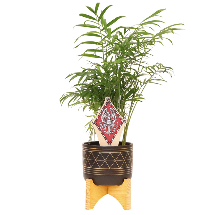 Pi Beta Phi Crest Color Plant Stake
