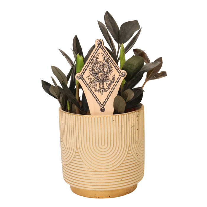 Pi Beta Phi Crest Natural Wood Plant Stake