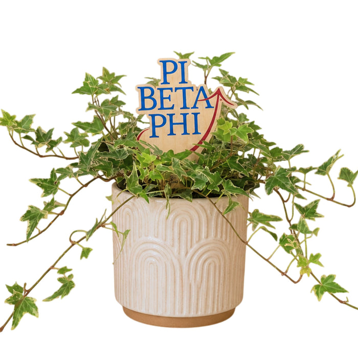 Pi Beta Phi Logo Color Plant Stake