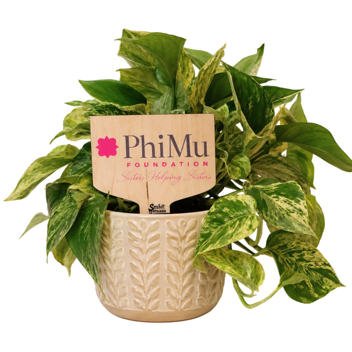 Phi Mu Motto Color Plant Stake