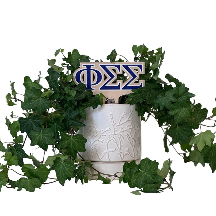 Phi Sigma Sigma Letters Color Plant Stake