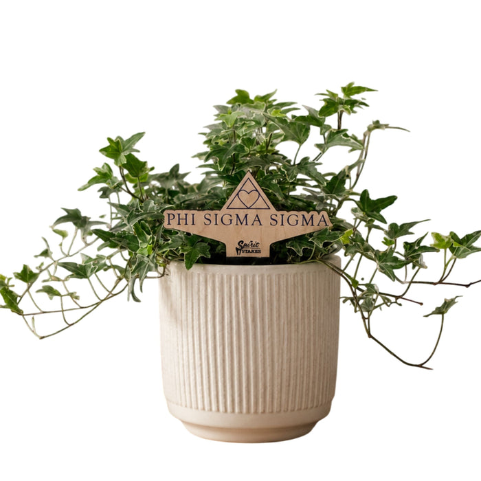 Phi Sigma Sigma Logo Color Plant Stake
