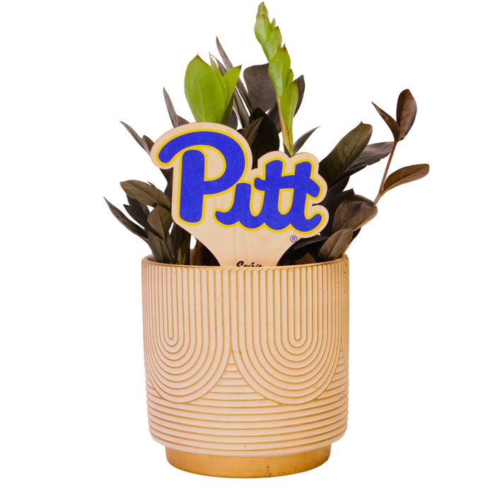 University of Pittsburgh "Pitt" Color Plant Stake