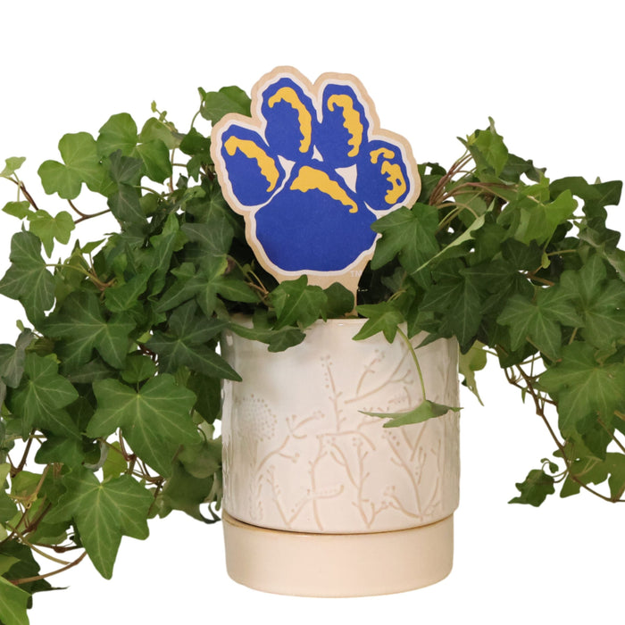 University of Pittsburgh Paw Color Plant Stake