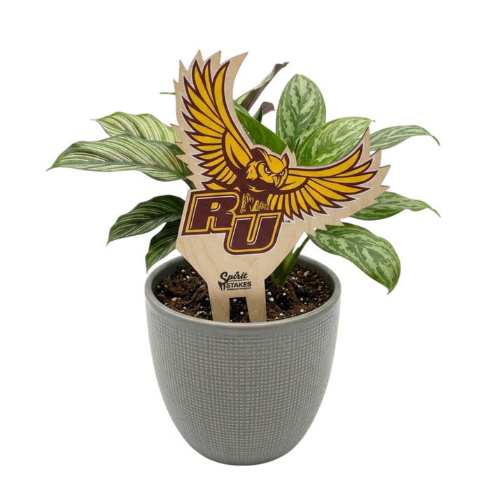 Rowan University Logo Color Plant Stake