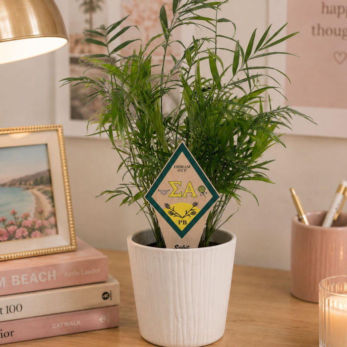 Sigma Alpha Crest Color Plant Stake