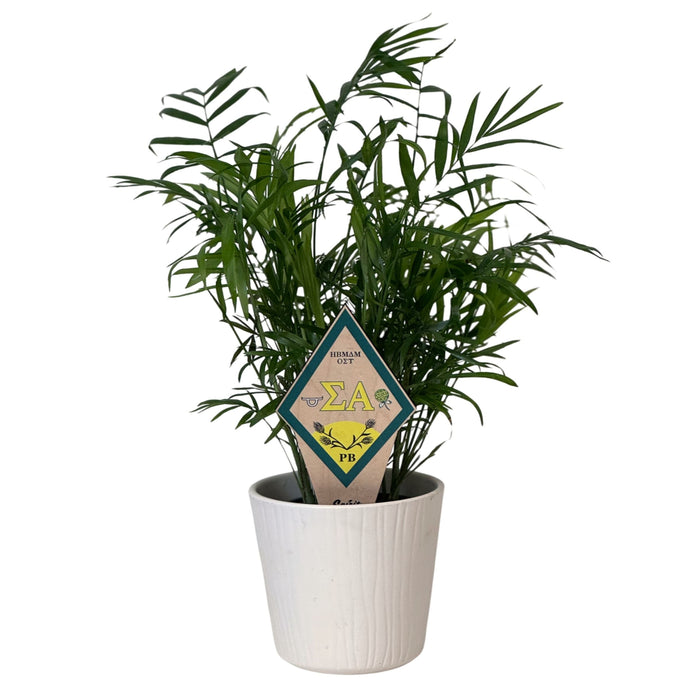 Sigma Alpha Crest Color Plant Stake