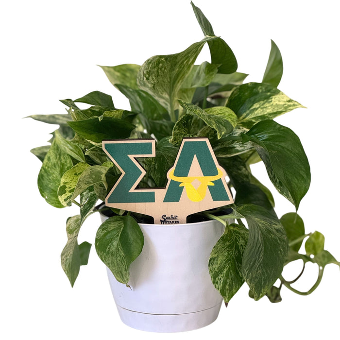Sigma Alpha Logo Color Plant Stake
