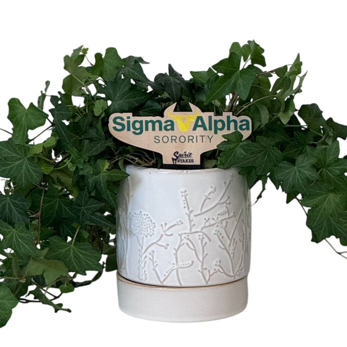 Sigma Alpha Sorority Color Plant Stake