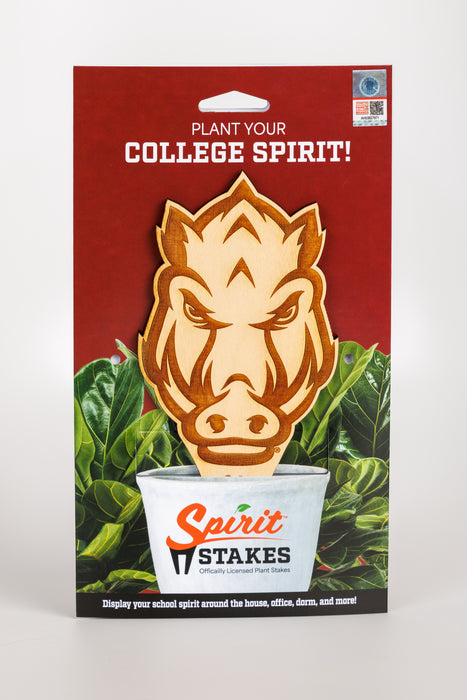 University of Arkansas "Razorback head"