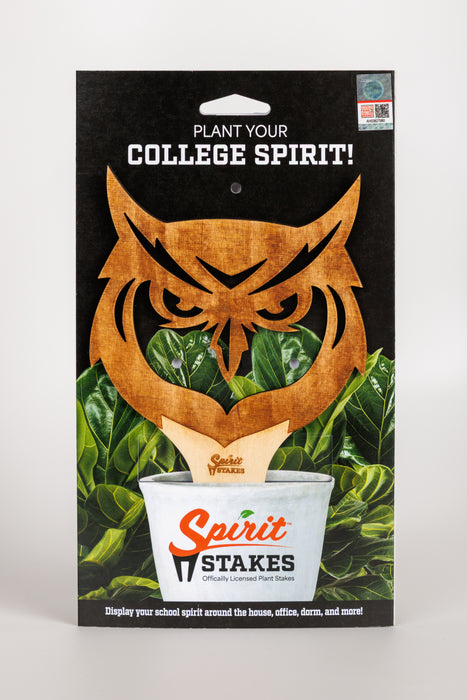 Kennesaw State University "Owl (etched)"