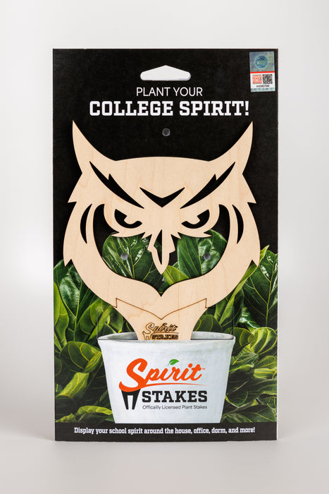 Kennesaw State University "Owl Head"