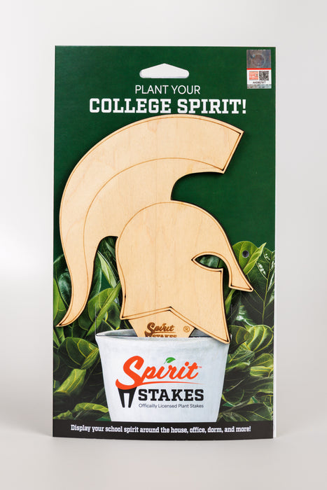 Michigan State University "Spartan Helmet"
