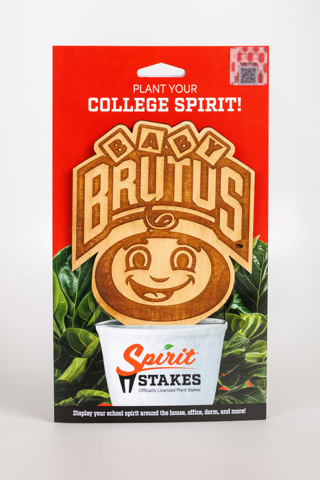 The Ohio State University Stadium Natural Wood Plant Stake