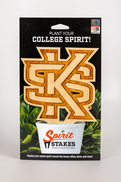 Kennesaw State University "KSU"