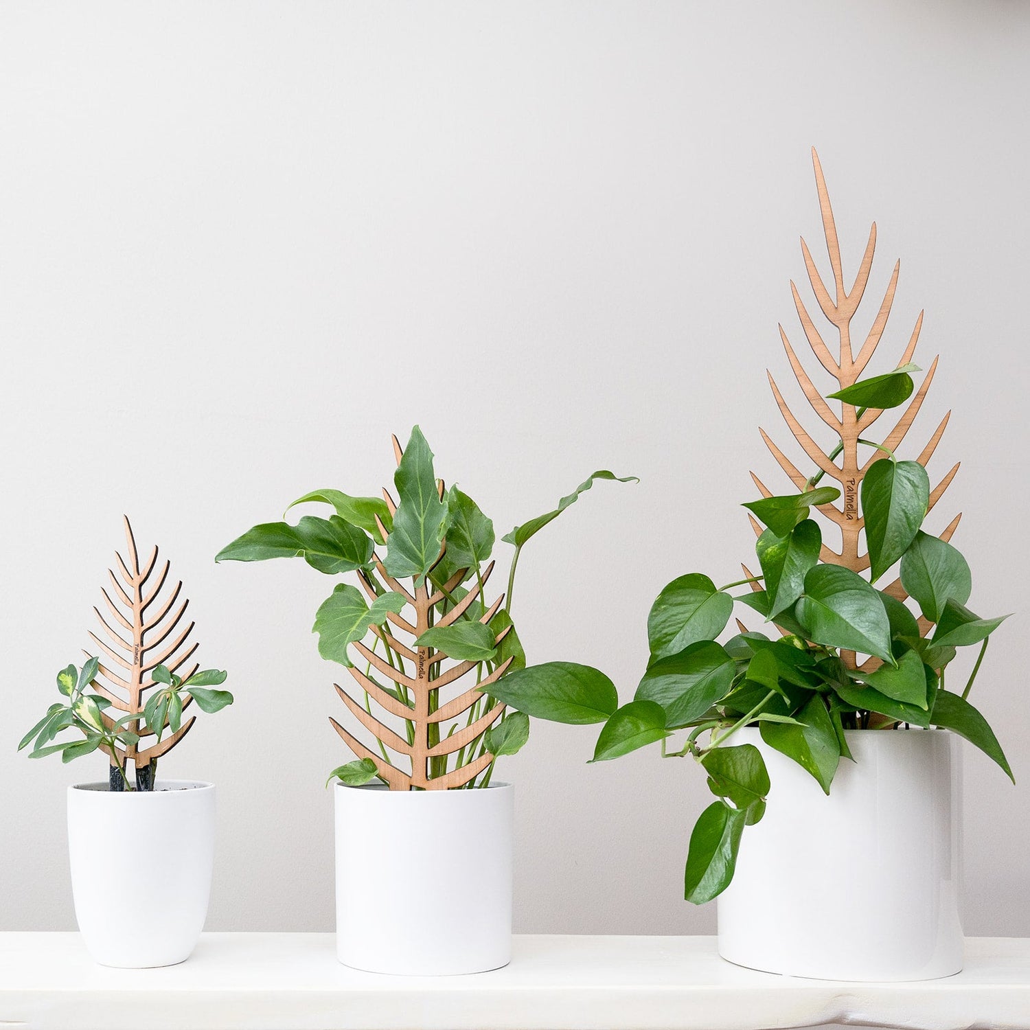 Your Source for Today's Best Gardening Products — Retail Garden ...