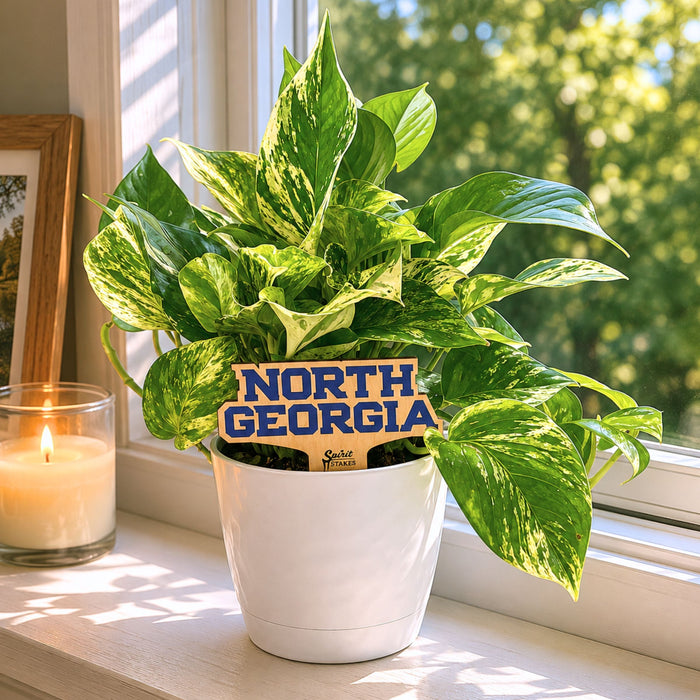 University of North Georgia Color Plant Stake