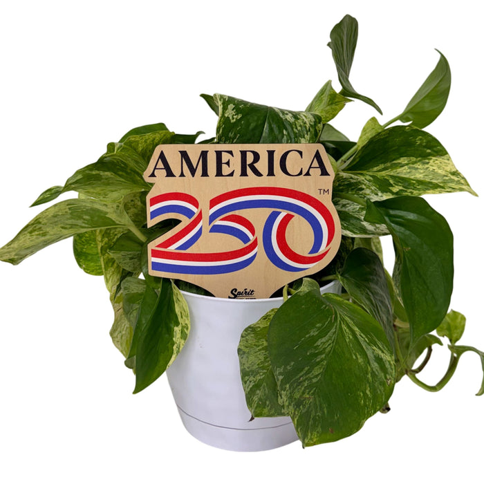 America 250 Color Plant Stake