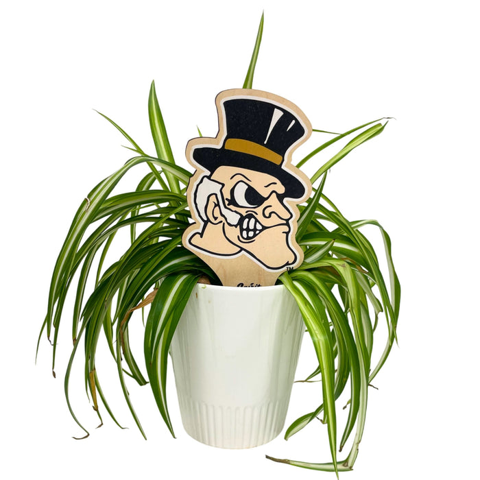 Wake Forest University Deacon Head Color Plant Stake