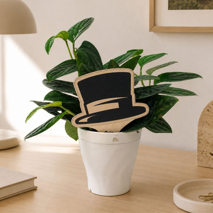Wake Forest University Hat Color Plant Stake
