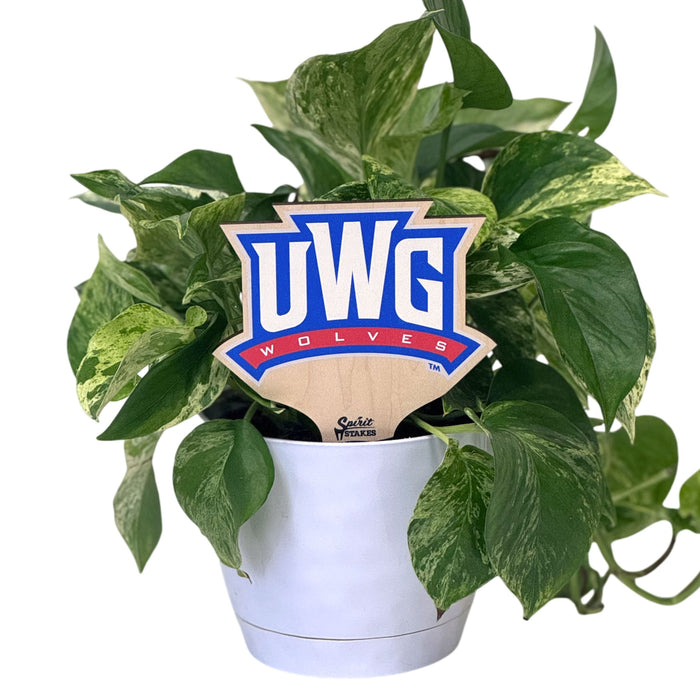 West Georgia 'UWG' Color Plant Stake