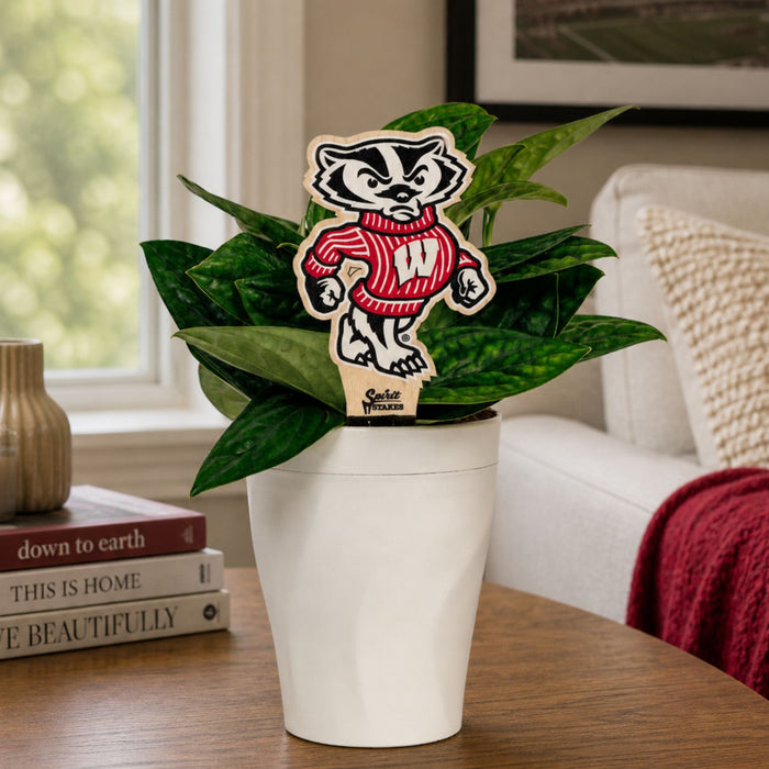 University of Wisconsin Badger Color Plant Stake