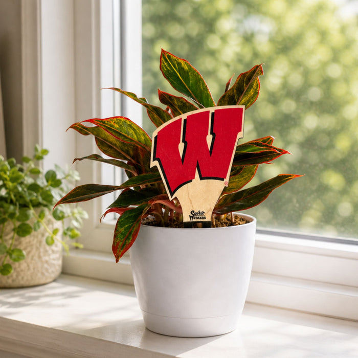 University of Wisconsin Motion W Color Plant Stake