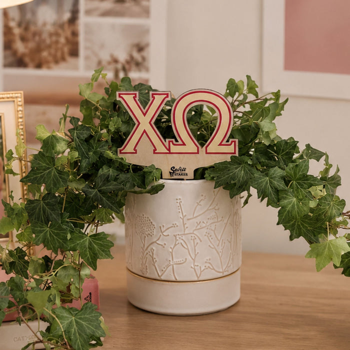 Chi Omega Letters Color Plant Stake