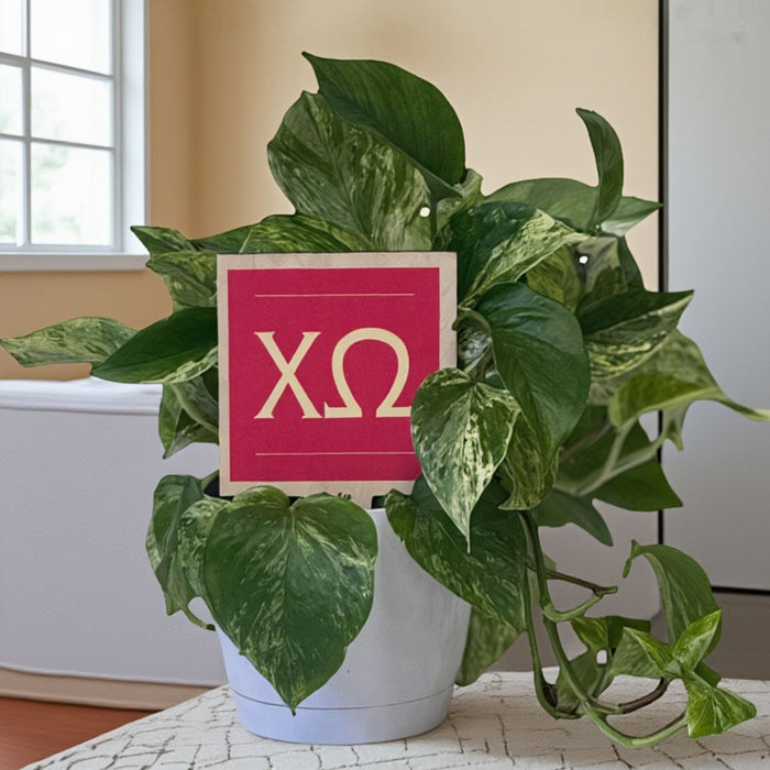 Chi Omega Sign Color Plant Stake