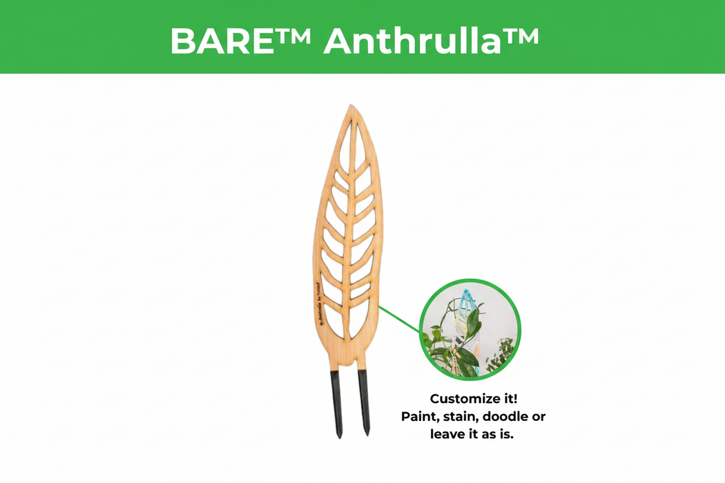 BARE™ Anthrulla™ - Customizable wooden plant support - Inspired by the Queen Anthurium leaf